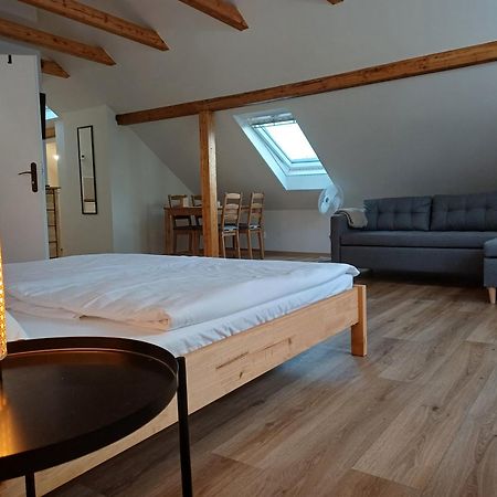 Loft Apartment Karlsbad Buitenkant foto